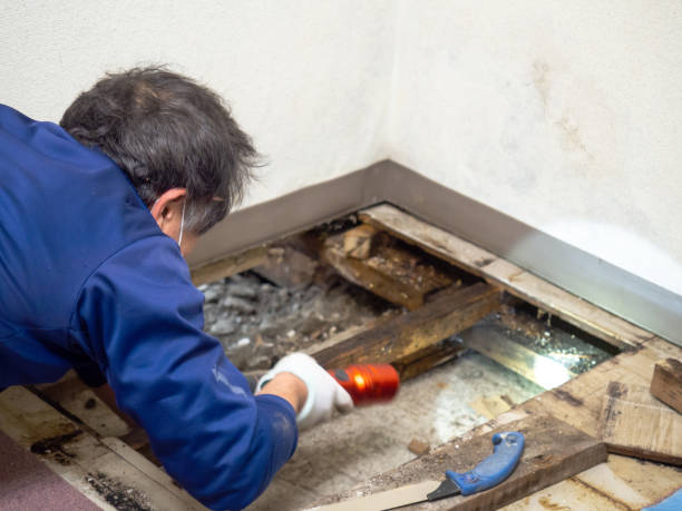 Best Mold Cleaning Services  in John Day, OR