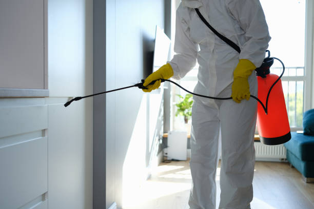Best Professional Mold Removal  in John Day, OR