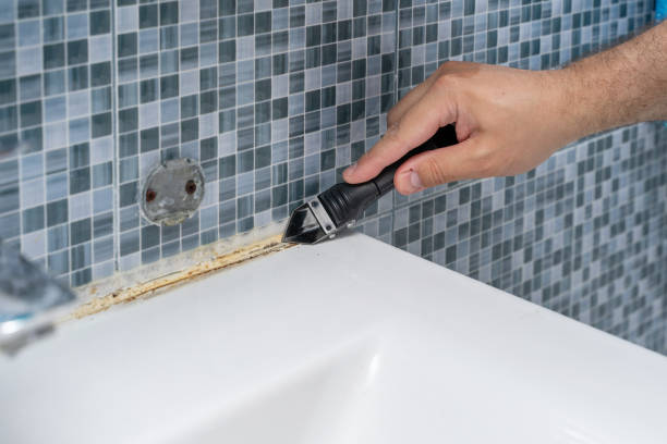 Best Mold Removal Process  in John Day, OR