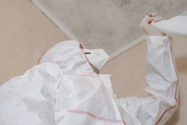 Best Toxic Mold Removal  in John Day, OR