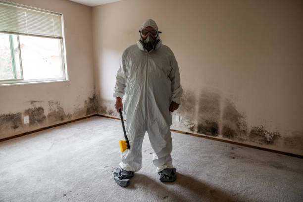 Best Attic Mold Removal  in John Day, OR