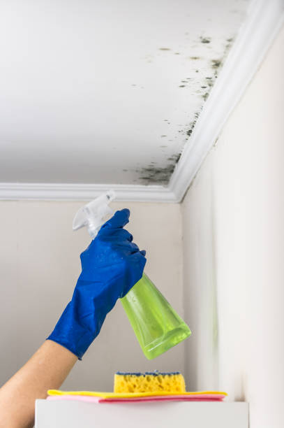 Best Crawl Space Mold Removal  in John Day, OR